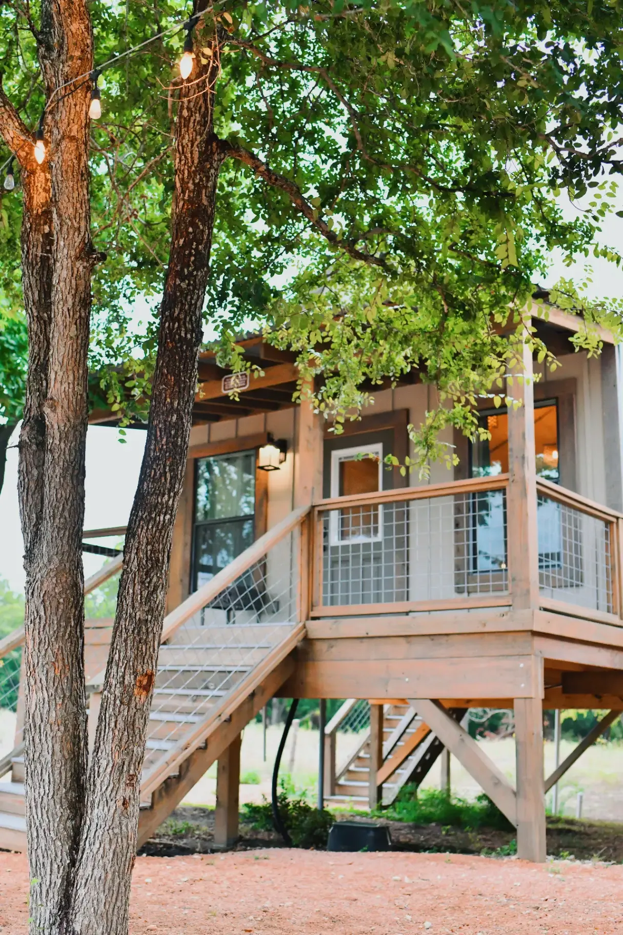 cabin-1.webp