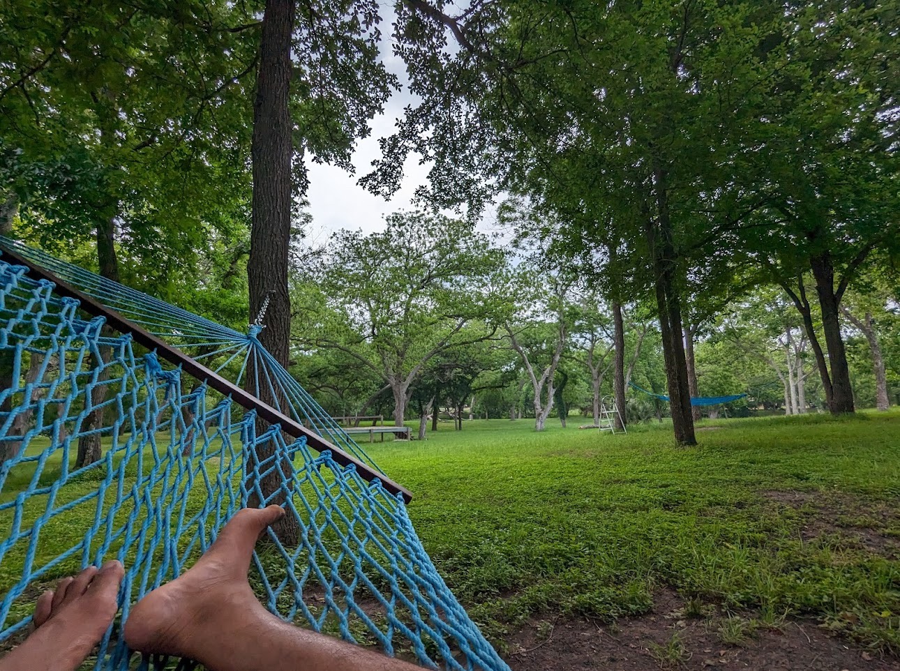 No schedule, no chaos