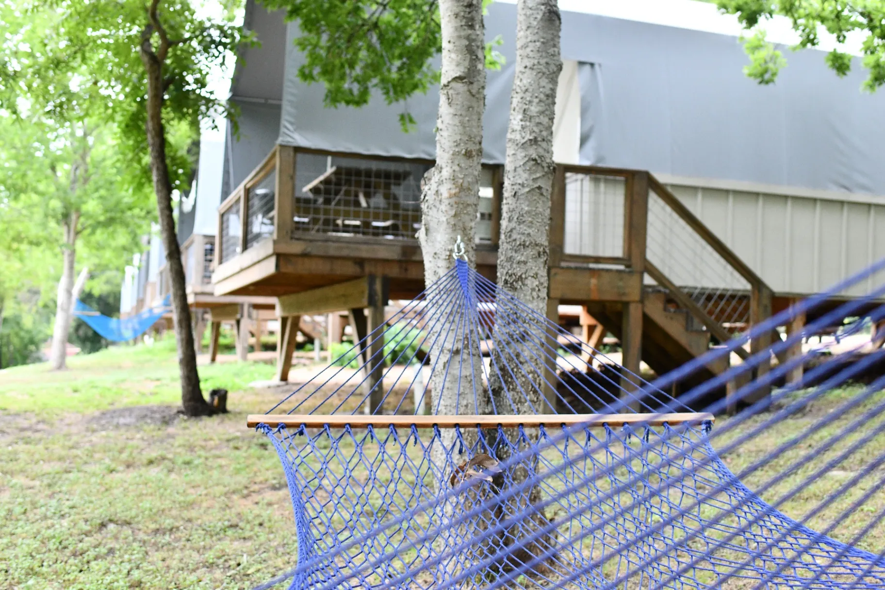 Hammocks strung between trees at Son's Geronimo