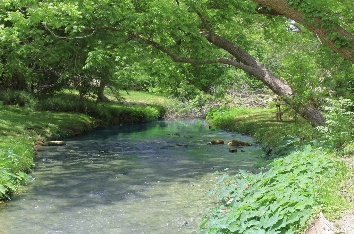 Waterfront Cabin Rentals Near New Braunfels: Wake Up on the Creek